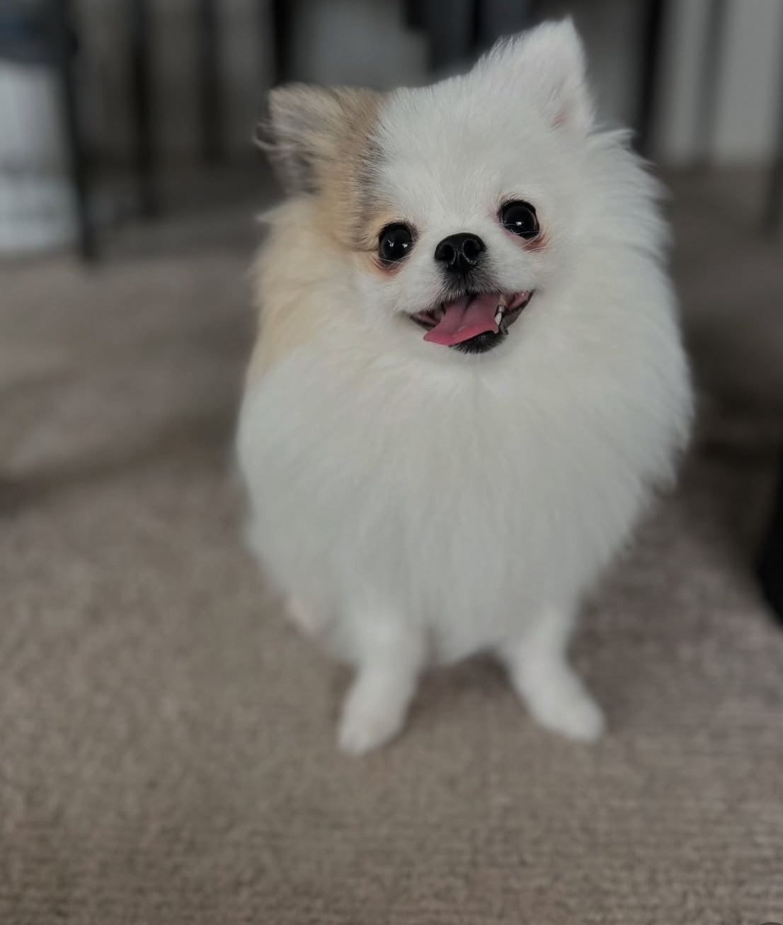 トイレ【「しなくなった」んじゃなくて、「したくない理由」があるかも】