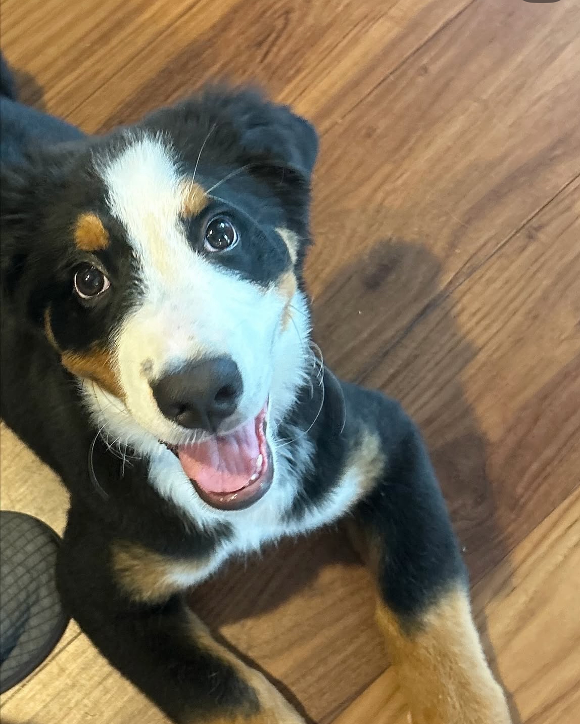 センターポジションのレッスンで「心の安心と体の軸」を育てる日