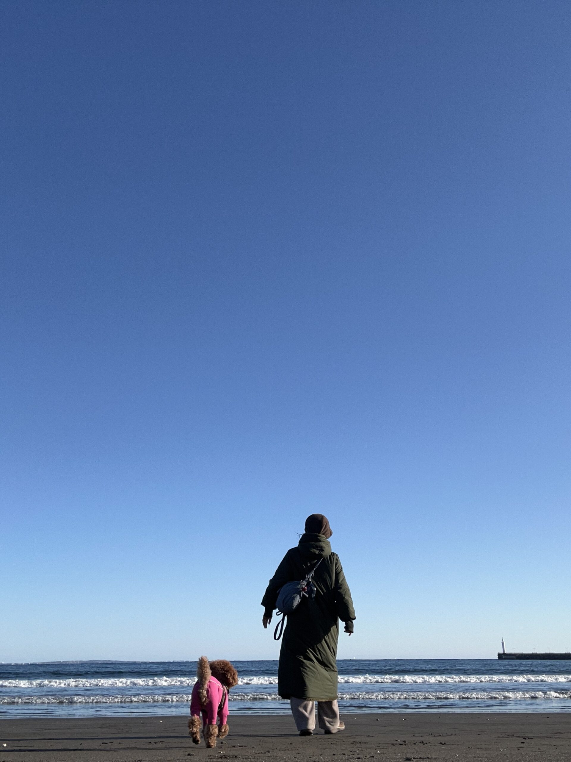 犬を変えるより、関係が整う方がずっと早い。