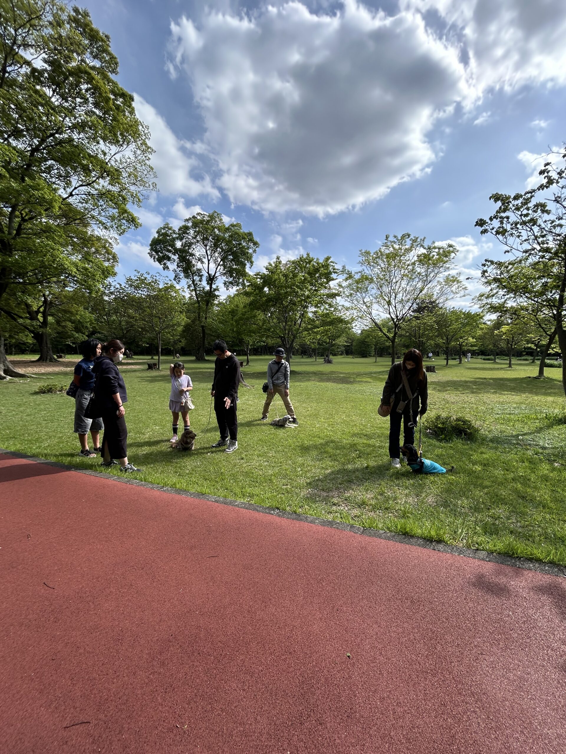 【問題行動は犬の問題ではない】