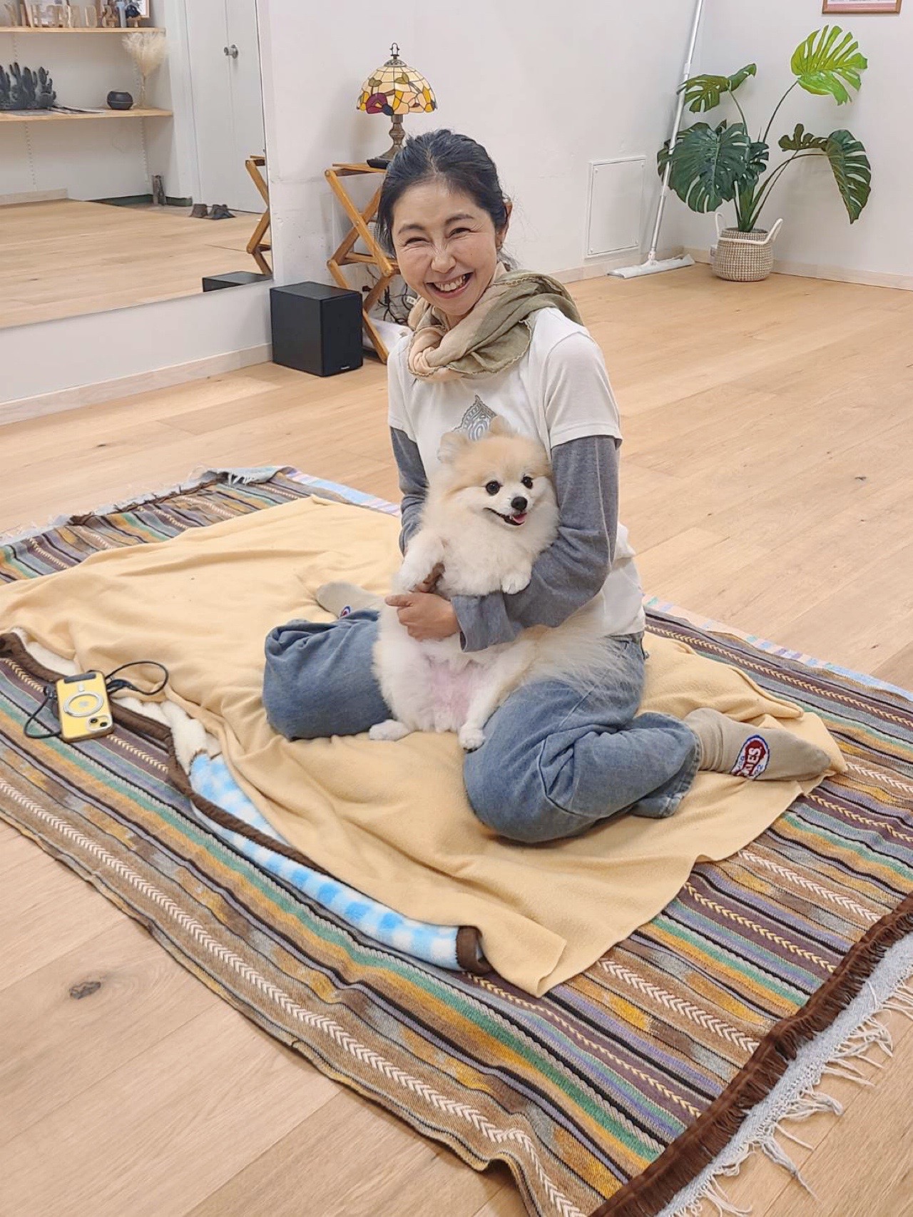 犬の整体とは？期待できる効果とメカニズム｜歩幅・姿勢・シニア犬ケアとの関係