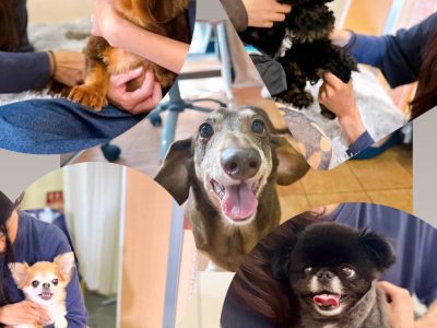 池尻大橋ＳＭＩＬＥ　ＰＯＩＮＴ　s　