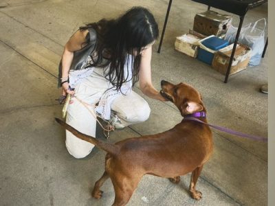 首輪を進めない理由