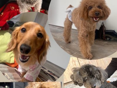 ３月１３日　整体イベントご参加に感謝