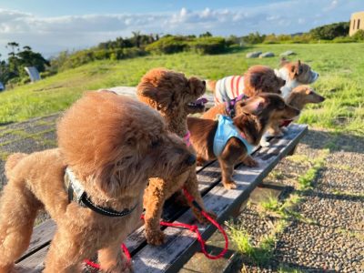 DAY預かりパックセッション　葉山遠征DAY