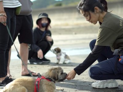 7月2日　Dogmeeting　グループレッスン　練馬区実施