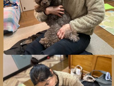 犬の整体部　ただいまモニタースタート！！