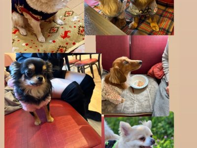 神楽坂カフェお悩み相談会　ありがとうございました