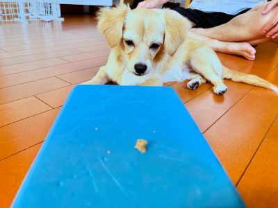 どうして待たないのだ？考える時間を