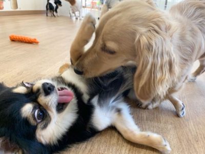 なぜ興奮するの？を考えてみる。