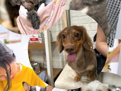 池尻大橋　スマイルポイント　イベント情報