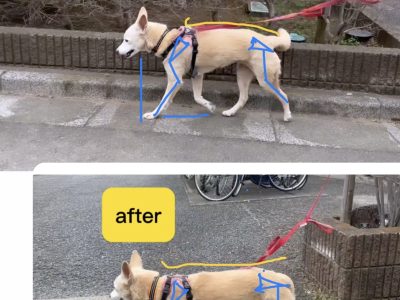 12歳の整体　施術。無理しないでいいのです。