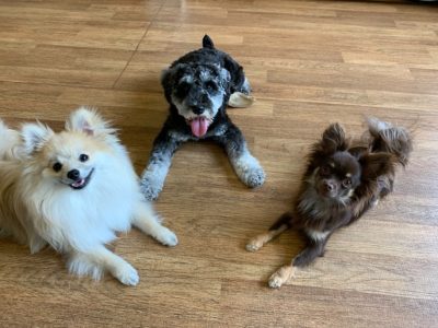 「コマンドは“ゴール”じゃない。“手段”としての理解を」