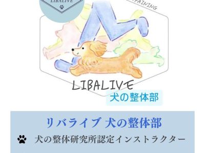 犬の整体イベント　申し込み受付中です。