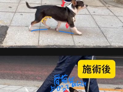 池尻大橋　整体イベント　ありがとうございます