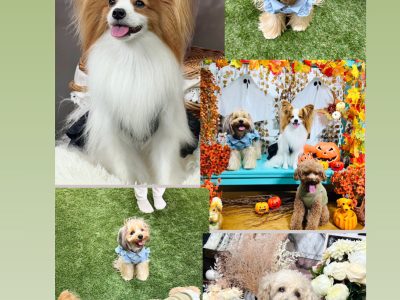 中板橋MMStudioさんでの基礎グループレッスン　