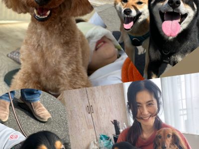 リバライブ犬の整体部　イベント実施！