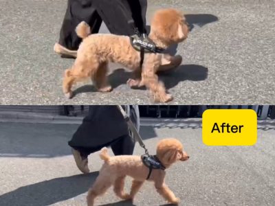 緊張を解く効果もある整体