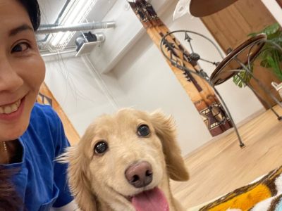 ６月の　大泉学園犬の整体DAYありがとうございました♪