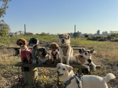 東京神奈川　DAY預かりセッション　12月3日　Sunny DAY☀️　　秋の終わり