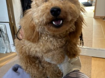 手から逃げないためには、最初の忍耐( ^)o(^ )