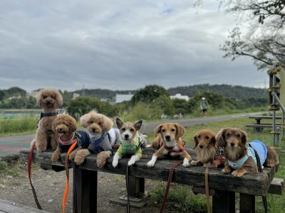 DAY預かりセッション　二子玉2024/10/20