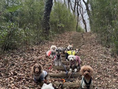 DAY遠征セッション2025年3月11日　