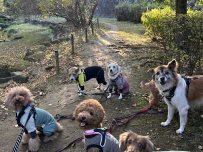 DAY遠征セッション　多摩　2024/11/8