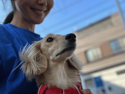 結局のところ。人間が頑張るという答え?