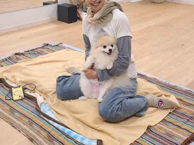 犬の整体とは？期待できる効果とメカニズム｜歩幅・姿勢・シニア犬ケアとの関係
