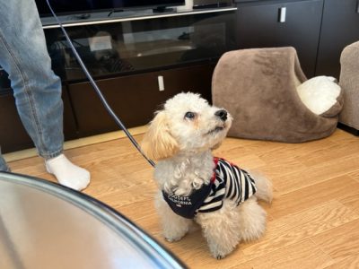 成長過程は順調だけではなく紆余曲折があるよ