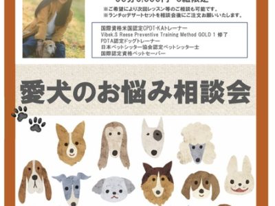 お悩み相談会　イベント決定　※神楽坂にて　