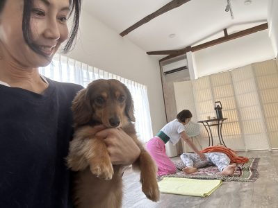新座オシャレスペース　毎月犬の整体　やってます