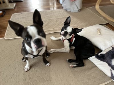 ﾄﾚｰﾆﾝｸﾞは関係性を作るツール