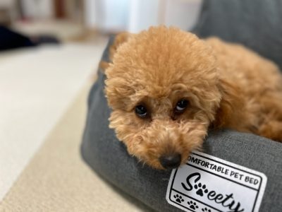 予防する事。人との生活で起きる悩み対策‼️