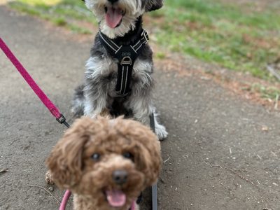 横を歩く練習は需要。