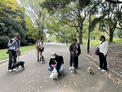 グループセッション　刺激に反応してしまうわんこと飼い主の勉強会＆実技セッション