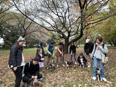 グループセッション　刺激に吠えたり反応してしまうわんこの勉強会＆実技2ndグループ