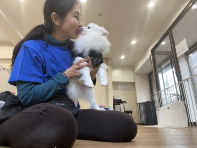 ハウスドッグ?CLASS2023/11/17