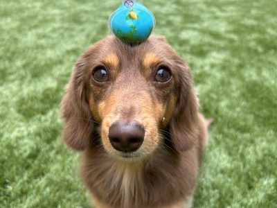 トレーニングの積み重ねが信頼になり行動になる