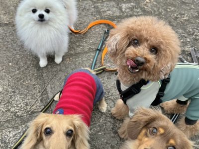 DAY預かりセッション 湘南葉山?2024/11/19