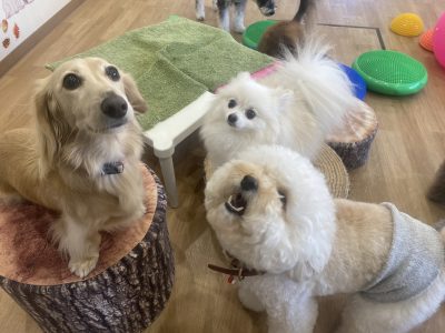 フォローアップクラス?2024/11/22