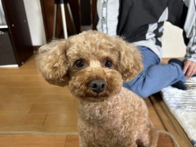 カウンセリングでも安心を提供したいです。