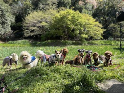 犬達の預かり遠征だよ♪　2025/4/9