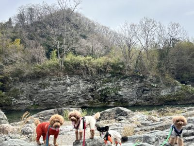 DAY預かりのセッション　2025/4/11