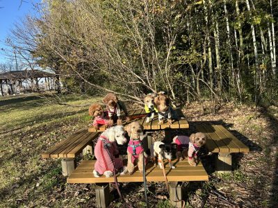 DAY預かりセッションTAMA 　2024/11/28晴れ