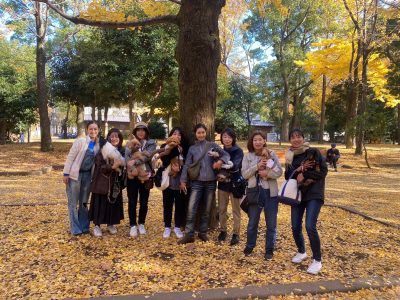 お散歩グループセッション　2023/11/28