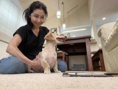 出張整体　シニアも歩行に不安のあるわんこ　