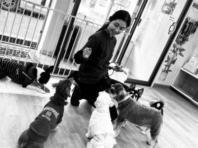 2023年　皆様へ感謝