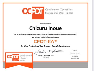 国際資格ドッグトレーナーCPDT-KAとは｜犬のしつけと犬の整体ケアを安心してお任せください?
